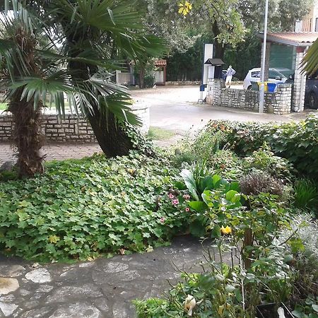 Apartments Barbara Ρόβινι Εξωτερικό φωτογραφία