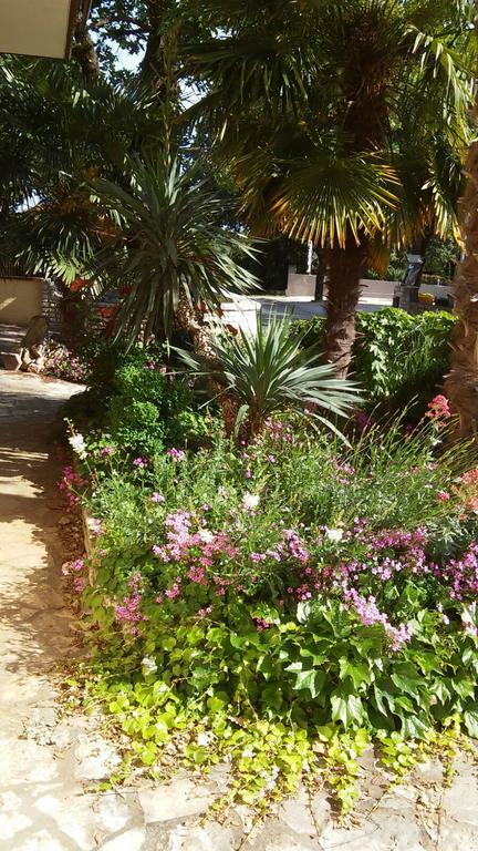 Apartments Barbara Ρόβινι Εξωτερικό φωτογραφία